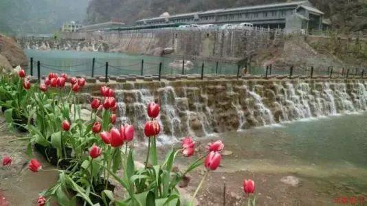 糖饼怎么做又软又好吃